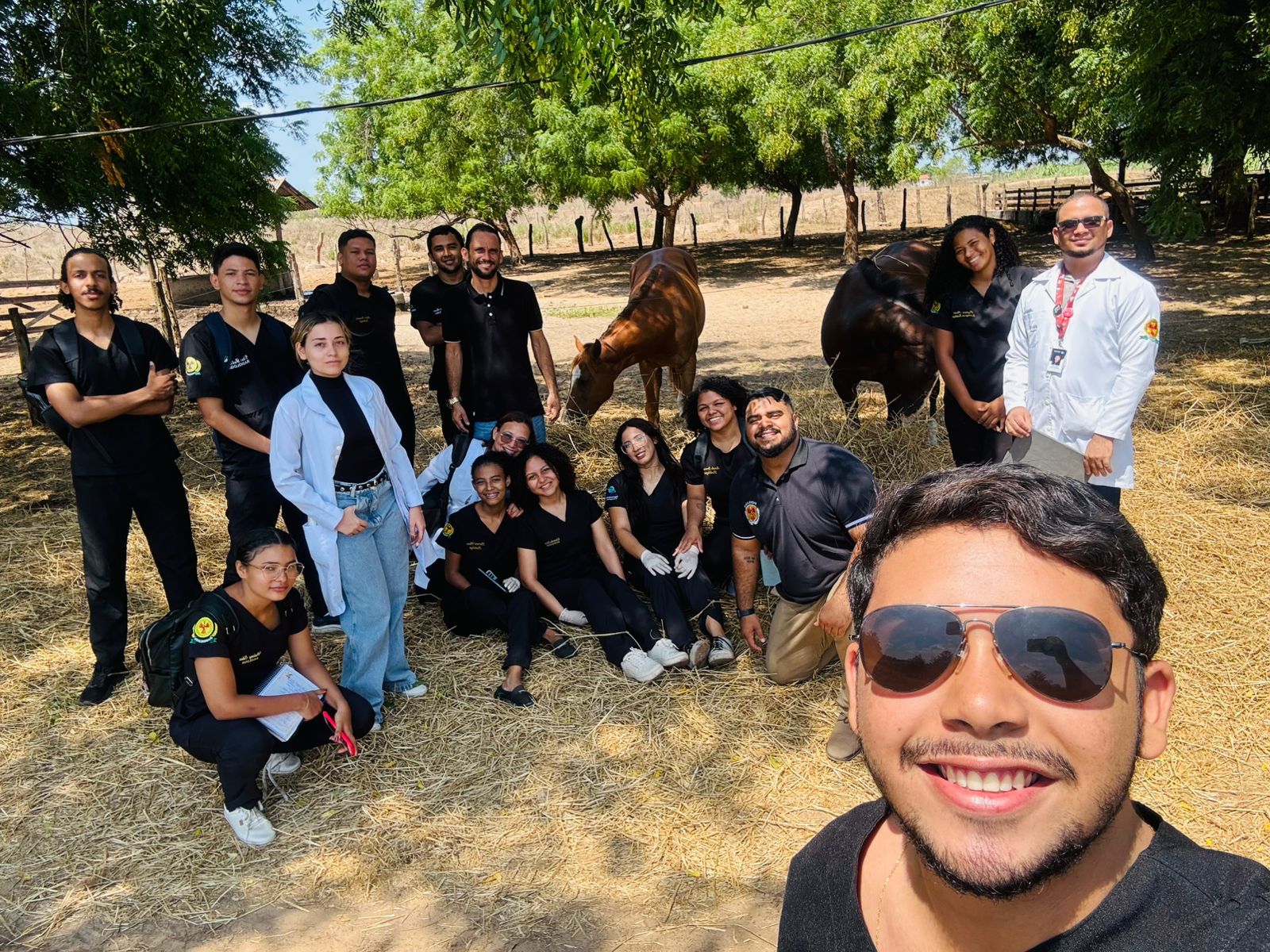 Alunos de Radiologia do UniFacema vivenciam prática sobre aquisição de imagens radiológicas em animais de grande porte